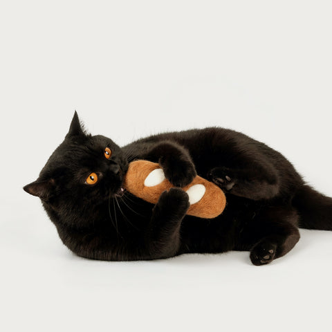 Black cat playing with felt baguette