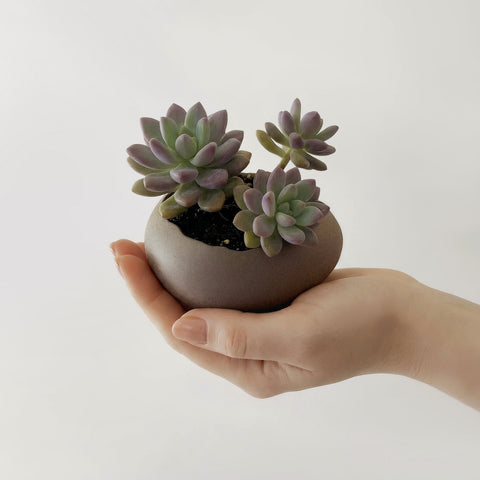 Ceramic Eggshell Dessert Bowl