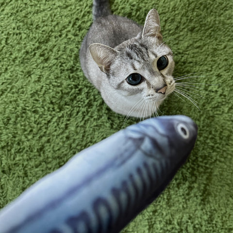 Cat Grocery Chew Toys