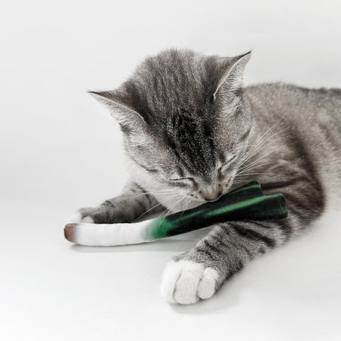 Cat Grocery Chew Toys