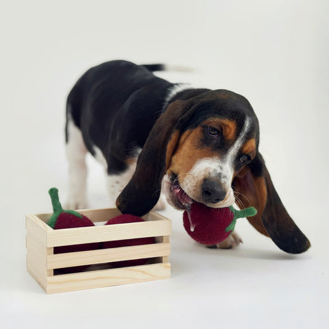 Handmade Felt Harvest Toys